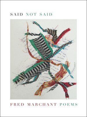 cover image of Said Not Said